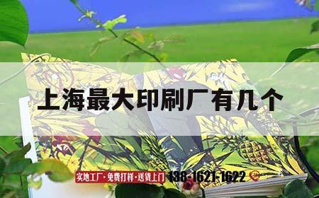 上海最大印刷廠有幾個(gè)｜上海比較大的印刷廠有哪些